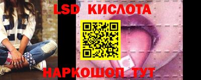 spice Заводоуковск